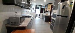 Balmoral Gate (D10), Condominium #482935401